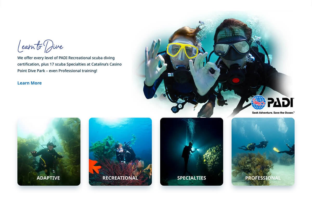 Catalina diving experience booking site