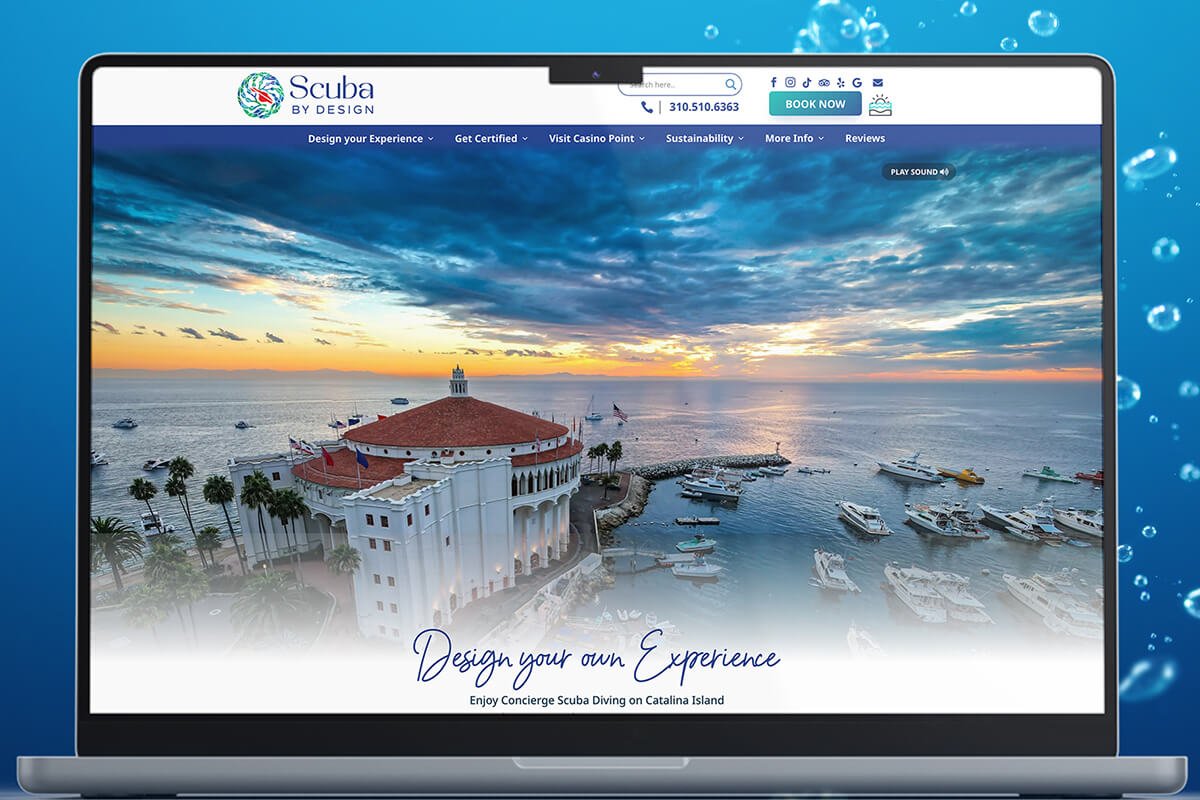 Catalina diving experience booking site